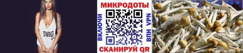 продажа наркотиков  Печора  Псилоцибиновые грибы GOLDEN TEACHER 